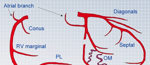 Fractional Flow Reserve Measurement | Online Learning